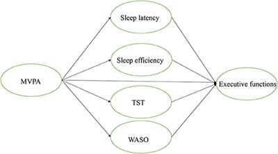 Physical Activity and Executive Function in Children With ADHD: The Mediating Role of Sleep